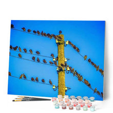 Cargar imagen en el visor de la galería, Pintar Por Números - Pájaros En El Poste - Figuredart - Animales Pájaros