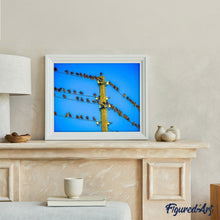 Cargar imagen en el visor de la galería, Pintar Por Números - Pájaros En El Poste - Figuredart - Animales Pájaros