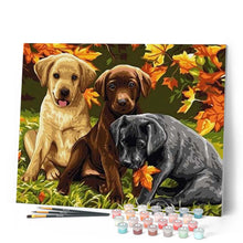 Cargar imagen en el visor de la galería, Pintar Por Números - Tres Perros - Figuredart - Animales Perros