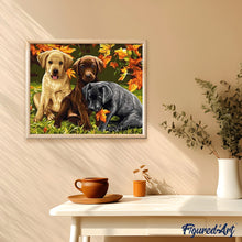 Cargar imagen en el visor de la galería, Pintar Por Números - Tres Perros - Figuredart - Animales Perros