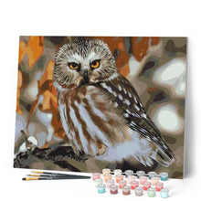 Cargar imagen en el visor de la galería, Pintar Por Números - Búho Gris - Figuredart - Animales Búhos