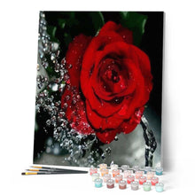 Cargar imagen en el visor de la galería, Pintar Por Números - Gotas Rosas Rojas - Figuredart - Flores
