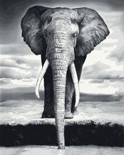Cargar imagen en el visor de la galería, Pintar Por Números - Elefante Gris - Figuredart - Animales Elefantes