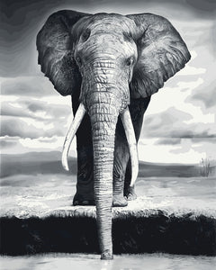 Pintar Por Números - Elefante Gris - Figuredart - Animales Elefantes