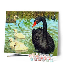 Cargar imagen en el visor de la galería, Pintar Por Números - Cisne Negro Y Blanco - Figuredart - Animales