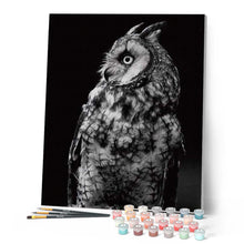 Cargar imagen en el visor de la galería, Pintar Por Números - Búho Blanco Y Negro - Figuredart - Animales Búhos
