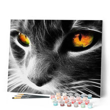 Cargar imagen en el visor de la galería, Pintar Por Números - Gato Barba Blanco Y Negro - Figuredart - Animales Gatos
