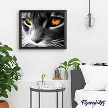 Cargar imagen en el visor de la galería, Pintar Por Números - Gato Barba Blanco Y Negro - Figuredart - Animales Gatos