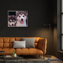Cargar imagen en el visor de la galería, Pintar Por Números - Dos De Dos - Figuredart - Animales