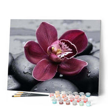 Cargar imagen en el visor de la galería, Pintar Por Números - Flor De Piedra - Figuredart - Flores