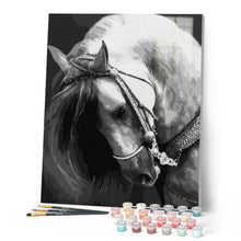 Cargar imagen en el visor de la galería, Pintar Por Números - Cuello Del Caballo - Figuredart - Animales Caballos