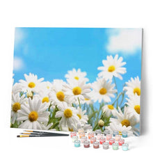 Cargar imagen en el visor de la galería, Pintar Por Números - Manzanilla - Figuredart - Flores