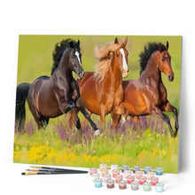 Cargar imagen en el visor de la galería, Pintar Por Números - Tres Caballos Galopan - Figuredart - Animales Caballos Novedades