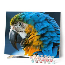 Cargar imagen en el visor de la galería, Pintar Por Números - Guacamayo Azul Y Amarillo - Figuredart - Animales Novedades