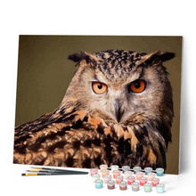 Cargar imagen en el visor de la galería, Pintar Por Números - Búho Mirada - Figuredart - Animales Búhos Novedades