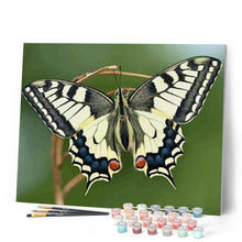 Cargar imagen en el visor de la galería, Pintar Por Números - Alas De Mariposa - Figuredart - Animales Mariposas Novedades