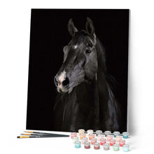 Cargar imagen en el visor de la galería, Pintar Por Números - Caballo Oscuro - Figuredart - Animales Caballos Novedades