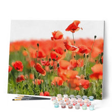 Cargar imagen en el visor de la galería, Pintar Por Números - Amapolas 1 - Figuredart - Flores Novedades Paisajes
