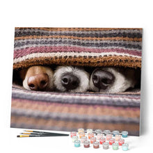 Cargar imagen en el visor de la galería, ¿Ves algún perro?