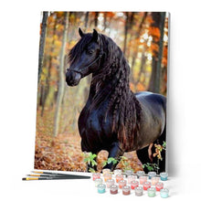 Cargar imagen en el visor de la galería, Pintar por números | Caballo negro elegante | Novedades Animales Caballos Intermedio | FiguredArt