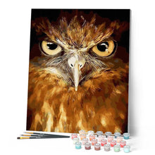 Cargar imagen en el visor de la galería, Pintar Por Números - Ojo De Halcón - Figuredart - Animales