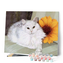 Cargar imagen en el visor de la galería, Pintar Por Números - Girasol Blanco Del Gato - Figuredart - Animales Gatos