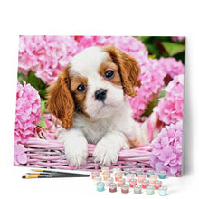 Cargar imagen en el visor de la galería, Pintar Por Números - Cachorro En La Cesta - Figuredart - Animales