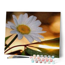 Cargar imagen en el visor de la galería, Pintar Por Números - Margarita 1 - Figuredart - Flores