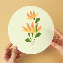 Cargar imagen en el visor de la galería, Mini Serie Pintar por Números - discos de Ø20cm (6 piezas) - Pétalo delicado