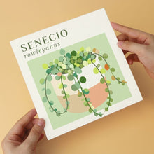 Cargar imagen en el visor de la galería, Mini Serie Pintar por Números 20x20cm (6 piezas) - Jardín de suculentas