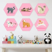 Cargar imagen en el visor de la galería, Mini Serie Pintar por Números - Hexágonos (6 piezas) - Animales en rosa