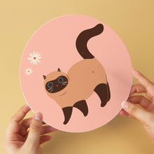 Cargar imagen en el visor de la galería, Mini Serie Pintar por Números - discos de Ø20cm (6 piezas) - Los gatos curiosos