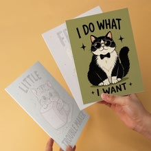 Cargar imagen en el visor de la galería, Mini Serie Pintar por Números 15x20cm (6 piezas) - Actitud felina