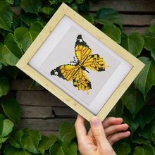 Cargar imagen en el visor de la galería, Mini Serie Diamond Painting - Mariposas 3