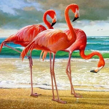 Cargar imagen en el visor de la galería, Punto De Cruz Diamante - Punto De Cruz Diamante - Tres Flamencos - Figuredart - Flamencos Mascotas Punto De Cruz Diamante Animales