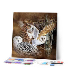 Cargar imagen en el visor de la galería, Punto De Cruz Diamante - Punto De Cruz Diamante - Búhos - Figuredart - Búhos Y Lechuzas Mascotas Punto De Cruz Diamante Animales