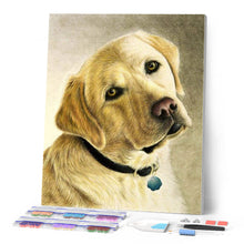 Cargar imagen en el visor de la galería, Diamond Painting - Retrato de un labrador