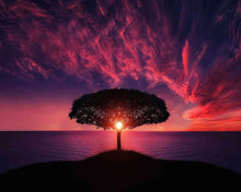 Cargar imagen en el visor de la galería, Diamond Painting - Luz del sol a través de un árbol