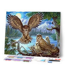 Cargar imagen en el visor de la galería, Diamond Painting - Pareja de búhos