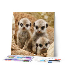 Cargar imagen en el visor de la galería, Punto De Cruz Diamante - Punto De Cruz Diamante - Pequeño Mono Exótico - Figuredart - Mascotas Monos Punto De Cruz Diamante Animales