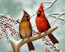Cargar imagen en el visor de la galería, Punto De Cruz Diamante - Punto De Cruz Diamante - Las Aves De Los Trópicos - Figuredart - Mascotas Punto De Cruz Diamante Animales Pájaros
