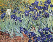 Cargar imagen en el visor de la galería, Punto De Cruz Diamante - Punto De Cruz Diamante - Van Gogh Flores - Figuredart - Flores Obras De Arte Punto De Cruz Diamante Reproducción