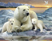 Cargar imagen en el visor de la galería, Punto De Cruz Diamante - Punto De Cruz Diamante - Osos Polares - Figuredart - Mascotas Oso Punto De Cruz Diamante Animales