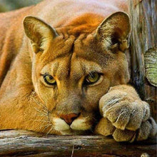 Cargar imagen en el visor de la galería, Punto De Cruz Diamante - Punto De Cruz Diamante - Leona - Figuredart - Leones Mascotas Punto De Cruz Diamante Animales
