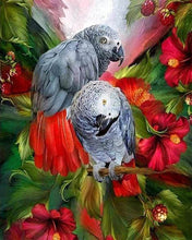 Cargar imagen en el visor de la galería, Punto De Cruz Diamante - Punto De Cruz Diamante - Rojo Y Gris Loros - Figuredart - Loros Mascotas Punto De Cruz Diamante Animales Pájaros
