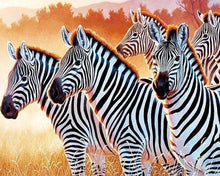 Cargar imagen en el visor de la galería, Punto De Cruz Diamante - Punto De Cruz Diamante - La Familia De Las Cebras - Figuredart - Cebras Mascotas Punto De Cruz Diamante Animales