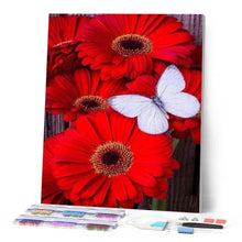 Cargar imagen en el visor de la galería, Punto De Cruz Diamante - Punto De Cruz Diamante - Margaritas Rojo Y Blanco De La Mariposa - Figuredart - Flores Mariposas Mascotas Punto De