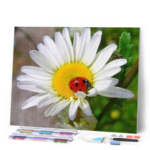 Cargar imagen en el visor de la galería, Punto De Cruz Diamante - Punto De Cruz Diamante - Mariquita Y Marguerite - Figuredart - Flores Mascotas Punto De Cruz Diamante Animales