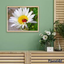 Cargar imagen en el visor de la galería, Punto De Cruz Diamante - Punto De Cruz Diamante - Mariquita Y Marguerite - Figuredart - Flores Mascotas Punto De Cruz Diamante Animales
