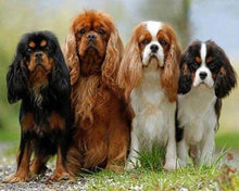 Cargar imagen en el visor de la galería, Punto De Cruz Diamante - Punto De Cruz Diamante - Familia De Perritos - Figuredart - Mascotas Punto De Cruz Diamante Animales